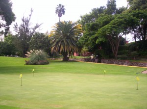 chipping green scenery