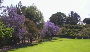 jacaranda4b Golf Hole 14 Jacaranda Atlas Guadalajara
